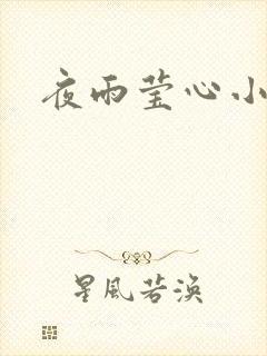 夜雨莹心小说