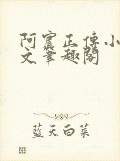 阿宾正传小说全文笔趣阁