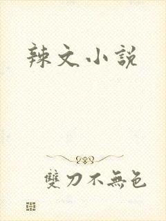 辣文小说