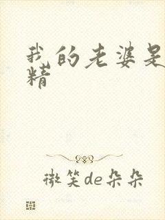 我的老婆是狐狸精封面