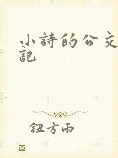 小诗的公交车日记