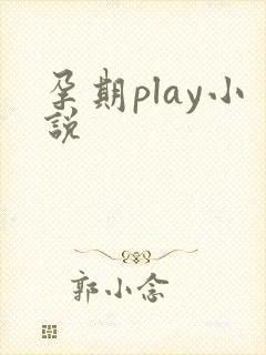 孕期play小说