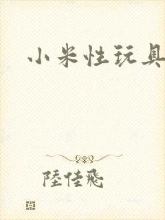 小米性玩具日记封面