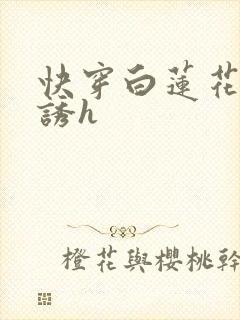 快穿白莲花的引诱h封面