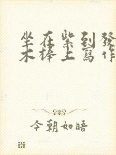 坐在紫到发黑的木棒上写作业阅读