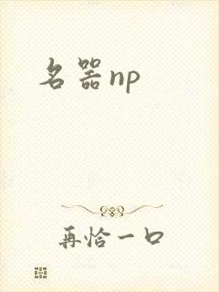 名器np封面