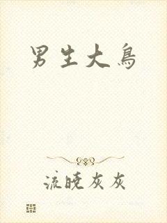 男生大鸟封面