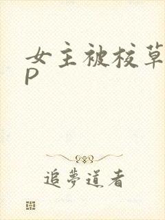 女主被校草们NP