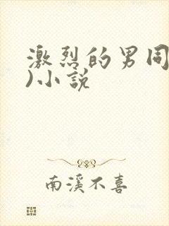 激烈的男同(h)小说