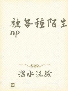 被各种陌生人 np