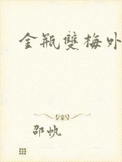 金瓶双梅外传