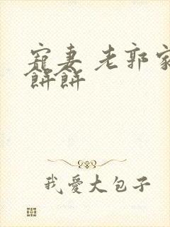 宠妻 老郭家的饼饼封面