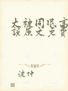 大被同眠高粱小说原文免费阅读