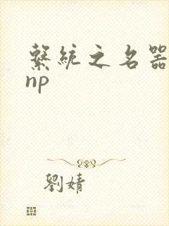 系统之名器攻略np