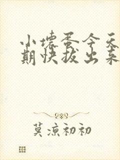 小坏蛋今天危险期快拔出来