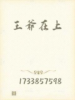 王爷在上