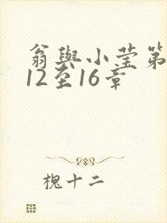 翁与小莹第十部12至16章