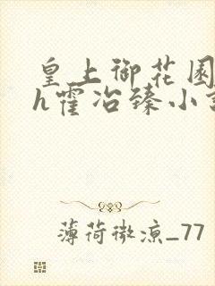 皇上御花园hlh霍冶臻小说封面