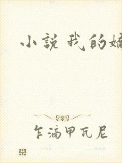 小说 我的娇妻