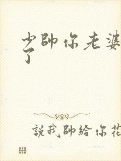 少帅你老婆又跑了