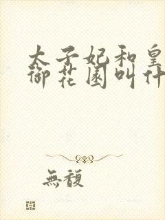 太子妃和皇帝在御花园叫什么小说封面