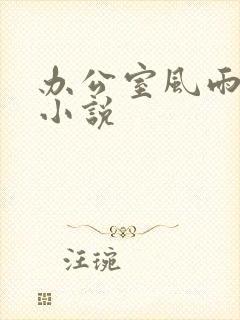 办公室风雨完整小说