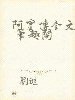 阿宾传全文阅读 笔趣阁