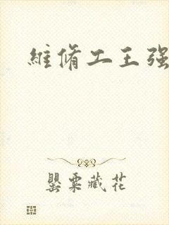 维修工王强张婷