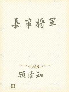 长宁将军封面