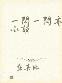 一闪一闪亮星星小说封面