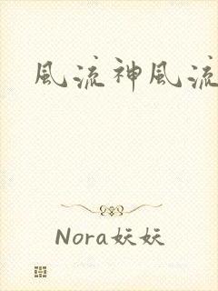 风流神风流记封面