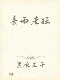 秦雨老旺封面