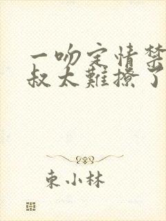 一吻定情禁欲小叔太难撩了