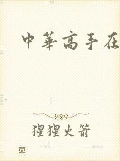 中华高手在异世