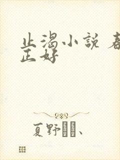 止渴小说 春光正好