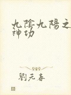 九阴九阳之阴阳神功