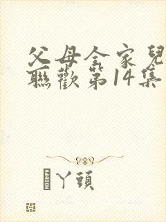 父母全家儿女大联欢第14集封面