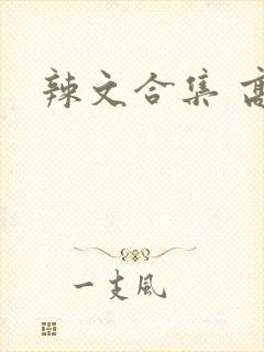 辣文合集 高h