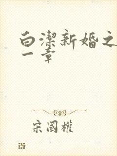 白洁新婚之夜第一章封面