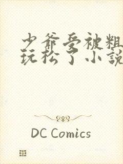 少爷受被粗汉H玩松了小说