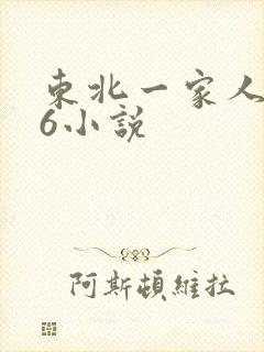 东北一家人1一6小说