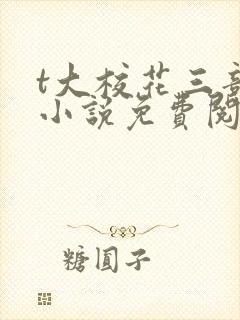 t大校花三部曲小说免费阅读全文