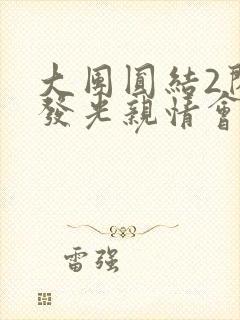 大团圆结2闪闪发光亲情会