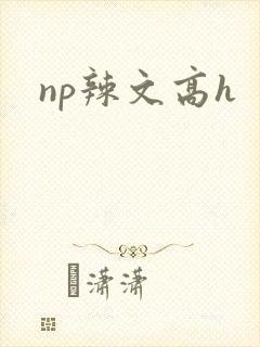 np辣文高h