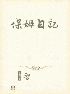 保姆日记封面