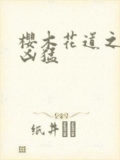 樱木花道之重生凶猛