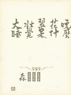 大壮翠花晚上不睡觉是什么电视剧