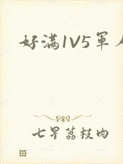 好满1V5军人