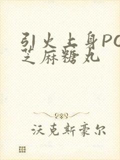 引火上身POP芝麻糖丸