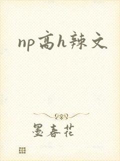 np高h辣文